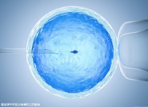 安孕冻胚移植专科
